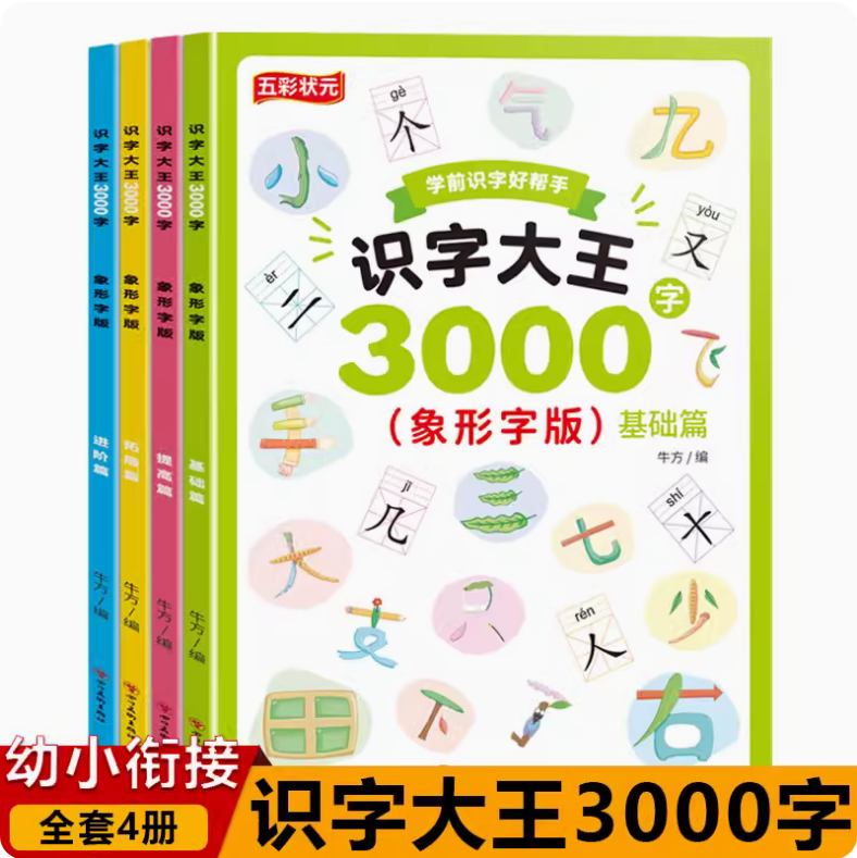 识字大王3000字全4册 象形字版学前儿童一年级识字书 幼儿园宝宝3—6岁基础进阶提高拓展篇识字启蒙认字神器 看图学字全套早教书绘