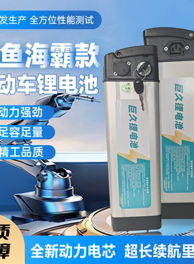 折叠车48V12AH20AH30AH大容量电池代驾车外卖专用锂电池通用