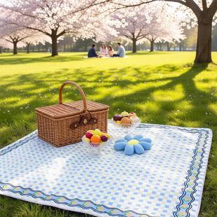 户外防水防潮野餐垫加厚春游垫子露营帐篷垫3x3m便携野营儿童秋游