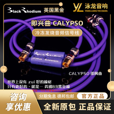 英国黑金 BLACK RHODIUM 即兴曲 CALYPSO 音频信号线 RCA XLR
