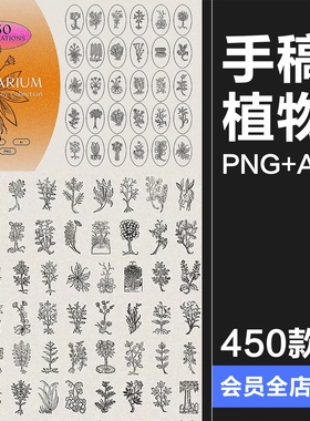 中世纪复古手绘草本植物手稿线描插图插画AI矢量PNG免抠图片素材