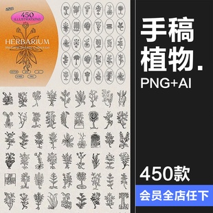 中世纪复古手绘草本植物手稿线描插图插画AI矢量PNG免抠图片素材