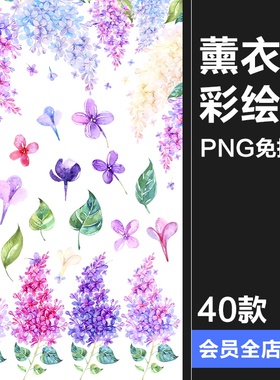 紫色唯美梦幻手绘水彩薰衣草植物花叶子背景图案PNG免抠装饰素材