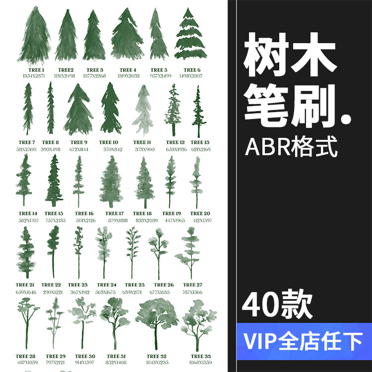 水彩立面树木松树笔刷剪影元素装饰插画图片设计ABR笔触设计素材