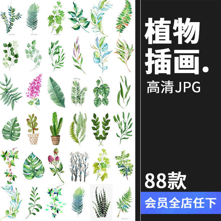 文艺小清新北欧景观植物绿色叶子图案高清jpg图片插画设计素材
