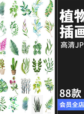 文艺小清新北欧景观植物绿色叶子图案高清JPG图片插画设计素材