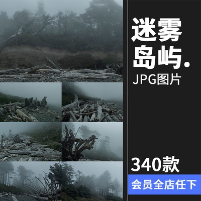 迷雾森林海边岛屿阴森恐怖荒凉意境参考场景后期合成JPG图片素材