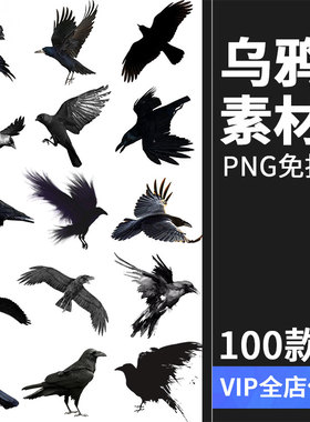 黑色乌鸦渡鸦飞翔鸟类恐怖剪影PNG免抠元素图片后期合成PS素材