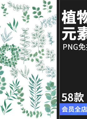 唯美森系绿色植物树叶手绘水彩线稿边框海报AI矢量PNG免扣PS素材