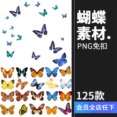 PS后期真实彩色蝴蝶飞舞PNG免抠图高清影楼特效装饰叠加设计素材