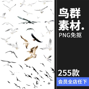 鸟群剪影鸟类飞鸟仙鹤透明背景图案ps后期美化免扣PNG免抠素材