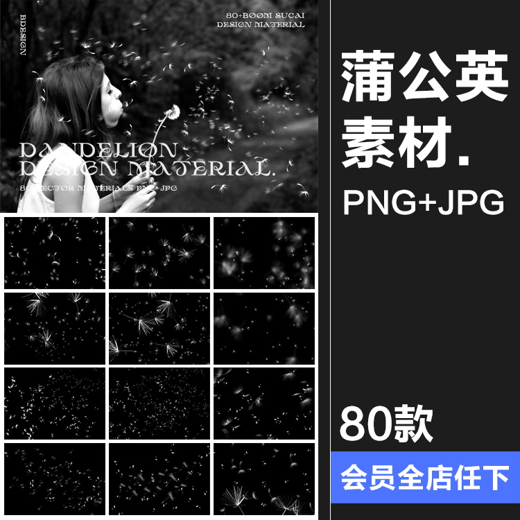 蒲公英飞絮飘动儿童梦幻外景摄影后期修图JPG黑底滤色叠加PS素材