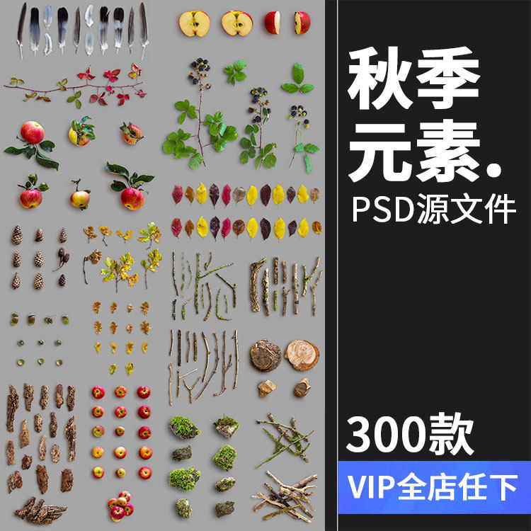 秋天秋季元素叶子金色枫叶树叶枯枝秋季海报背景psd模板ps素材