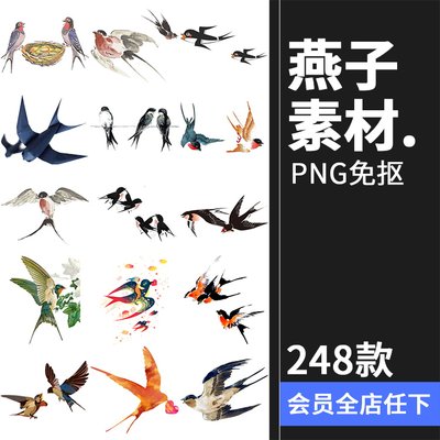 燕子鸟类飞禽中国风古风手绘水彩水墨后期合成装饰PNG免抠图素材