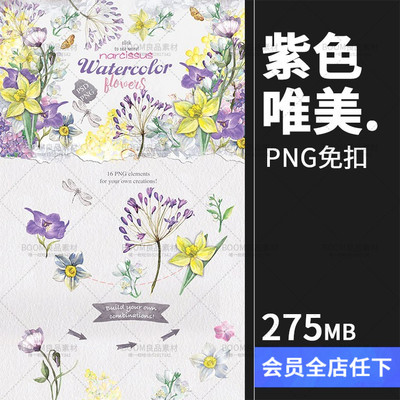 唯美紫色植物牵牛花手绘手账彩色PNG元素婚礼卡片免抠背景PS素材