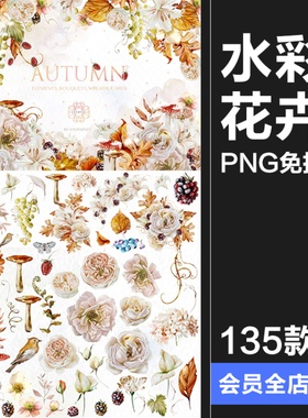 水彩手绘秋季植物花朵花卉花环花束装饰元素插图插画PNG免抠素材