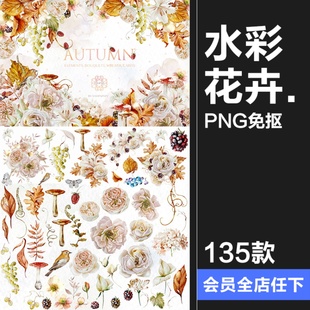 水彩手绘秋季植物花朵花卉花环花束装饰元素插图插画PNG免抠素材
