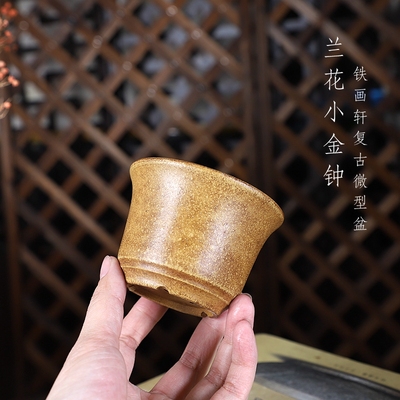 自在屋紫砂花盆微型兰花小金钟铁画轩复古中国风迷你可爱绿植
