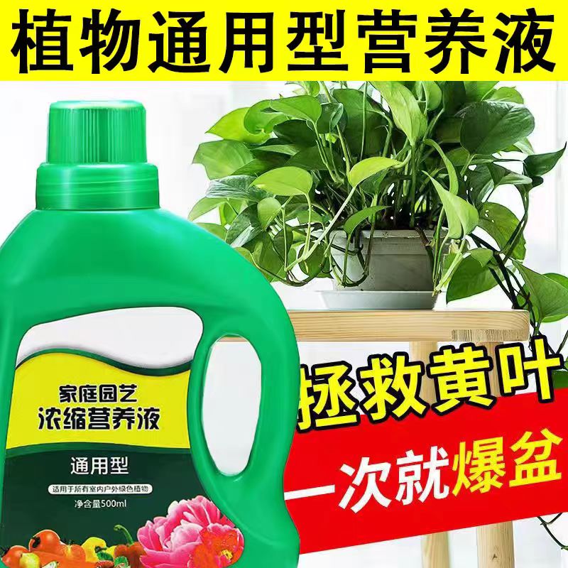 家用养花卉绿萝水培植物营养液通用型绿植多肉盆栽发财树液体肥料