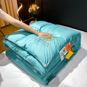 外贸撤单 新款羽绒绒冬被子春秋被五星酒店羽丝被芯被子厚被芯