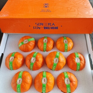 当季现货新鲜水果稀有柑桔子精笃甘平6斤精品大果礼盒装新年送礼