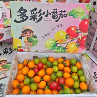 （礼盒随机）新鲜彩色千禧果香甜小番茄圣女果千禧小番茄