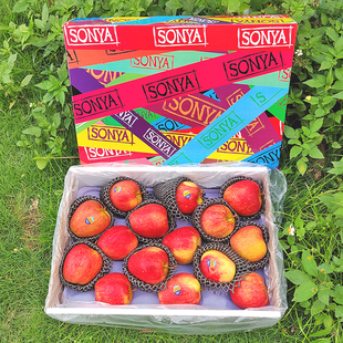 现货新西兰索尼娅苹果约8斤原箱礼盒装当季进口新鲜水果送礼大气