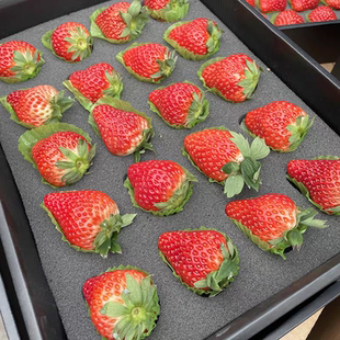 (顺丰包邮)真田辽宁丹东红草莓1盒大果大黑盒甜草莓新鲜水果