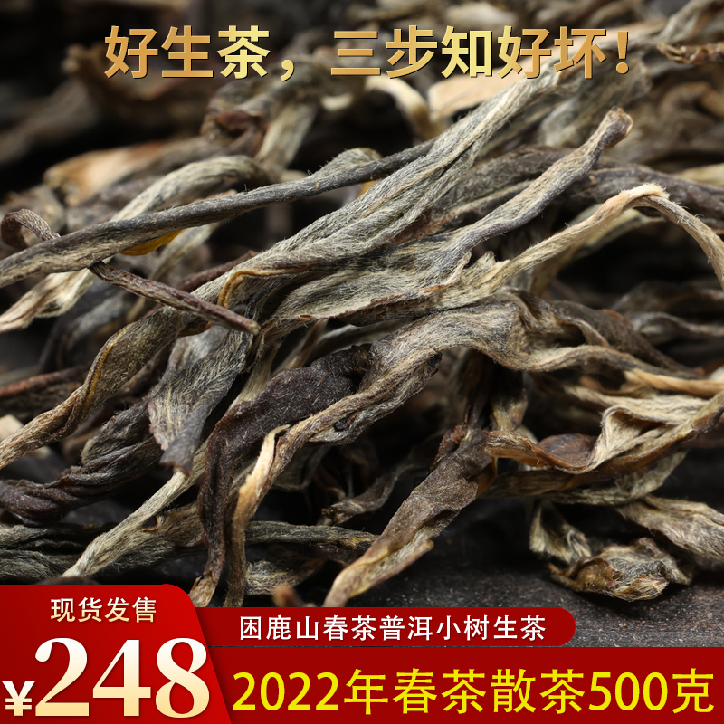 2022年困鹿山春茶普洱茶生茶散茶头春古树茶散装生普茶 500克现货