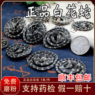 皇轩中药材小白花蛇 百花蛇泡酒料干五步蛇蕲蛇乌梢蛇/条顺丰包邮