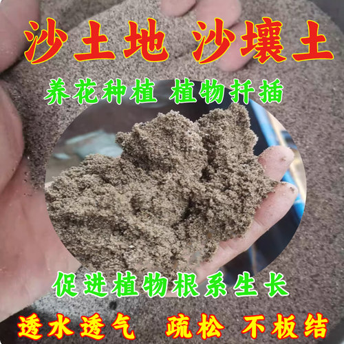 沙壤土种植田园土疏松透气透水土壤砂质土泥沙土河沙土盆栽专用土