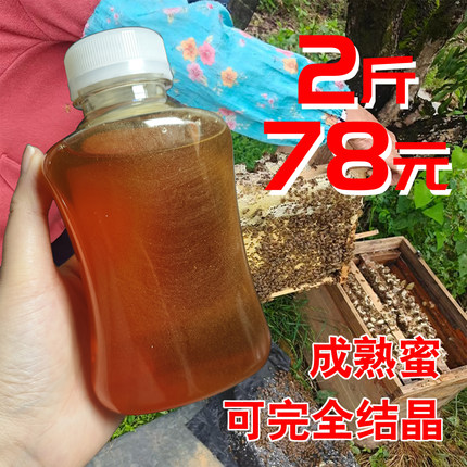 中华土蜂蜜纯正龙眼蜜无添加天然野生农家自产正宗桂圆老蜂蜜原蜜