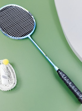 SWEATING专业碳纤维羽毛球拍套装超轻实木把柄全碳素进攻型4u耐打