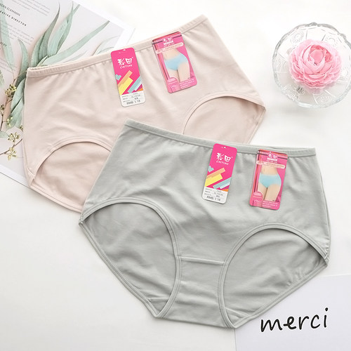 彩田女士内裤新疆棉透气大码短裤