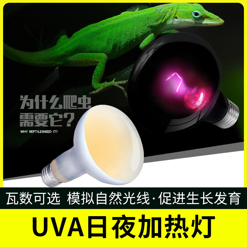爬虫uva加热变色龙陆龟保温