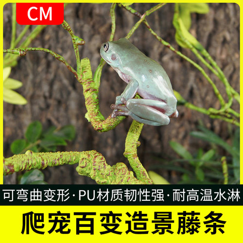 仿真造景爬宠造景缠绕藤