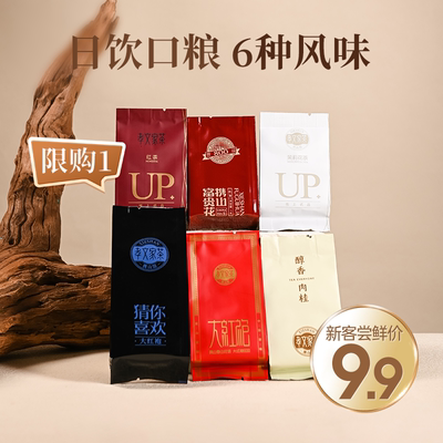 【新客尝鲜】孝文家茶茶叶组合品鉴肉桂大红袍茉莉花茶叶试饮红茶