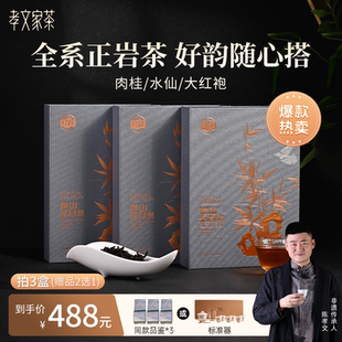 孝文家茶携山开运纳福3000武夷岩茶肉桂大红袍乌龙茶叶 热卖