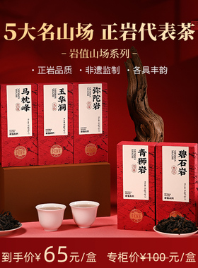 孝文家茶名岩荟萃青狮岩弥陀岩肉桂武夷岩茶玉华洞水仙乌龙茶叶