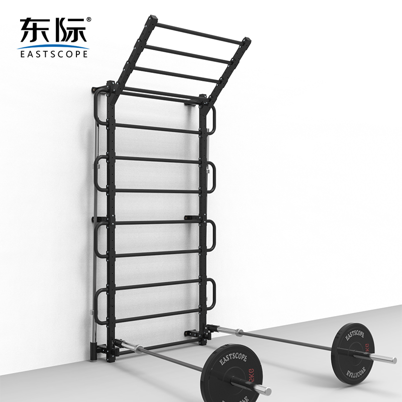 东际 肋排架 单杠攀爬康复TRXD架CF私教健身房靠墙体能训练综合架