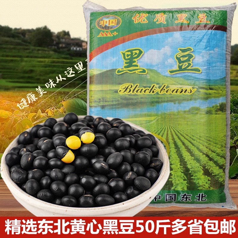 黄心黑豆精选家用 商用优等老品种药用东北特产寒地 打豆浆做馅料