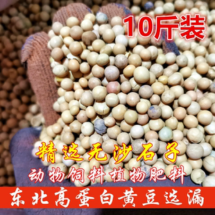 黄豆残次品东北高蛋白 瑕疵品 饲料喂牛羊猪狗鸡鸭鹅肥料花草肥料