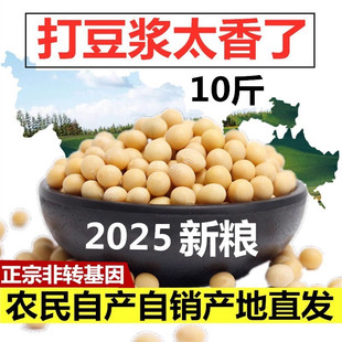 2025东北黄豆农家土黄豆高蛋白精品大豆10斤装 精选特级打豆浆专用