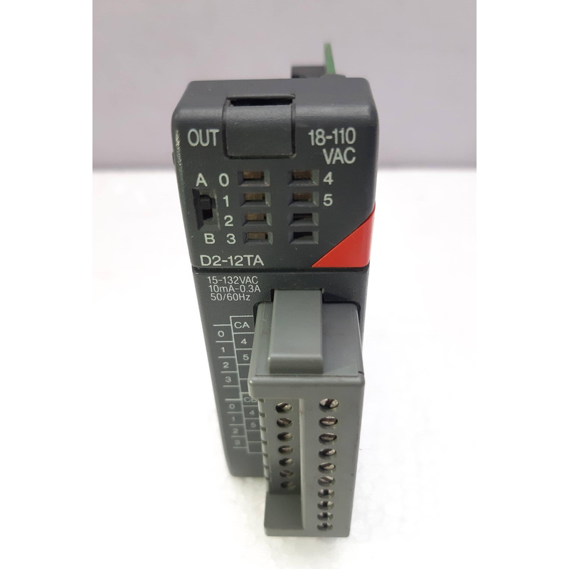 Automation Direct D2-12TA 独立输出模块