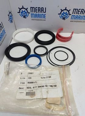 Kit Di Guarnizioni NOV 95006+71 SNH30-SD-100/50