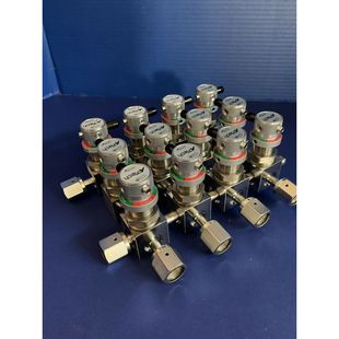 带 手动隔膜阀歧管 Assy 二手 阀 AP4625SM APTech
