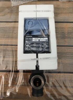 Siemens Modulierendes Regelventil MXG461.25-8.0 NEU