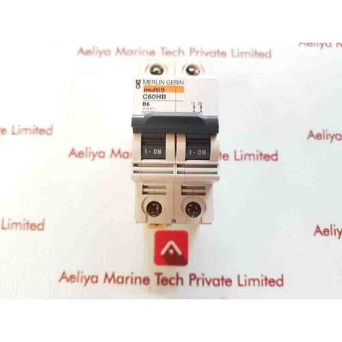 Interruptor Automático Merlin Gerin Multi9 C60HB B6 415V