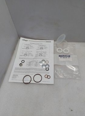 Flowserve WCAIM2030 Miser Ball Valve Kit 00075318