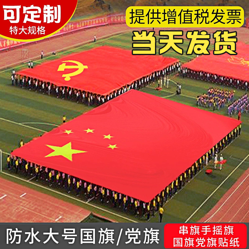 特大号国旗党旗123456